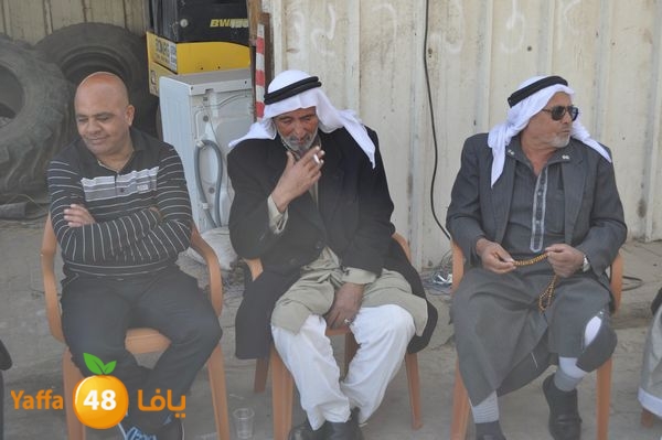 rayetsol7s310 (3).JPG